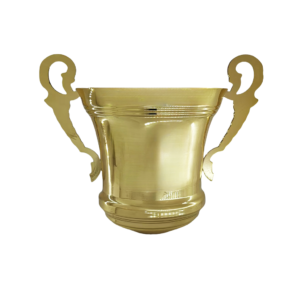 B29 Trophy Cup
