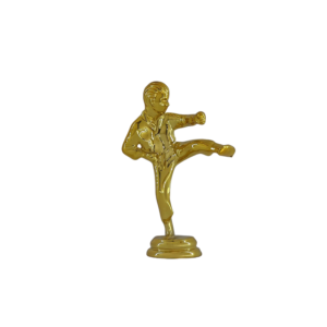 S31 Trophy Top