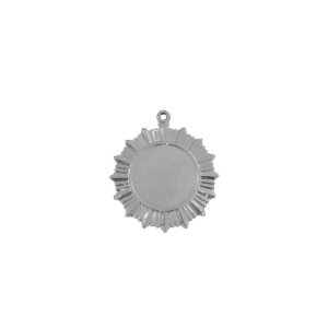 lp 1 Iron Medals